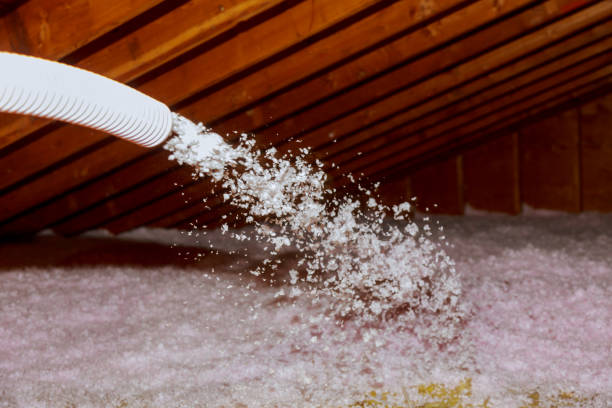 Best Spray Foam Insulation  in Sage, CA