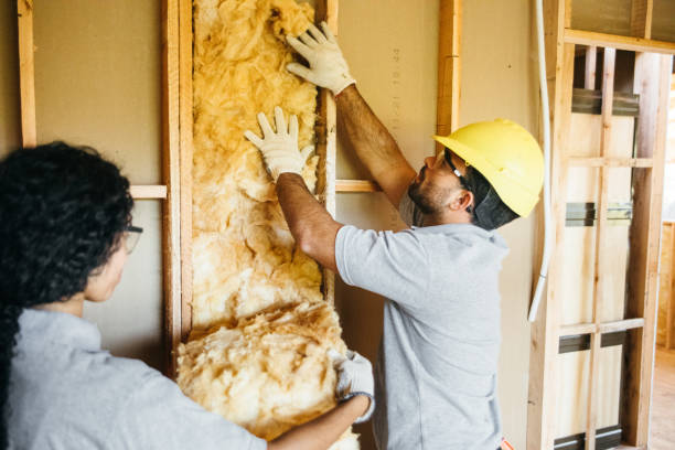 Best Spray Foam Insulation  in Sage, CA